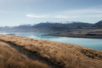 Neuseeländische Landschaft von Kevin D'Errico