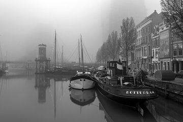 black and white no. 2