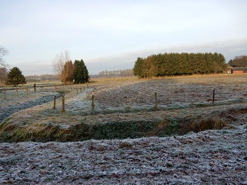 Landschap met rijp 