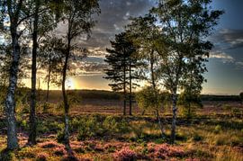 Zonsondergang Landgoed Den Treek II Amersfoort von Watze D. de Haan