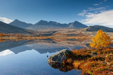 Dørålen Herbst von Sven-Erik Arndt