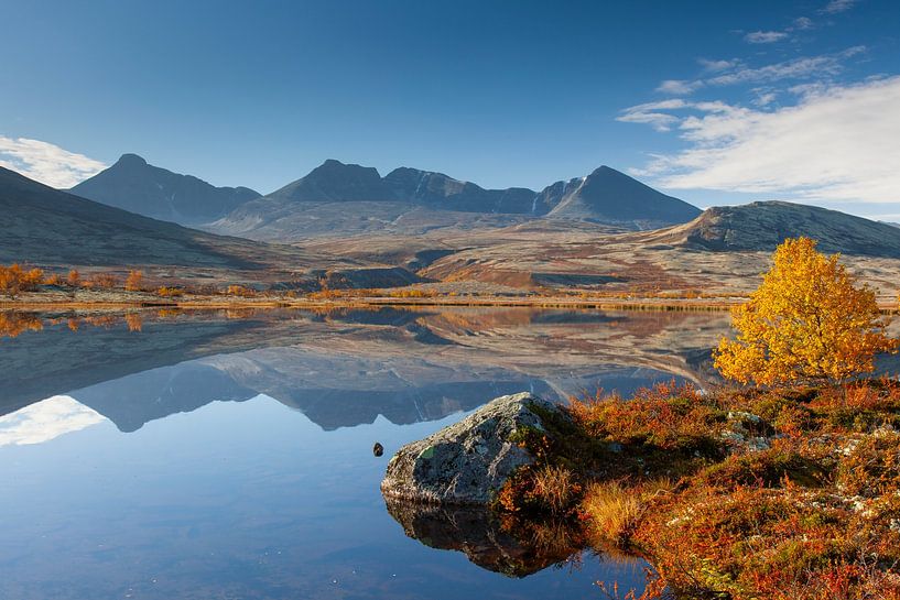 Dørålen Automne par Sven-Erik Arndt