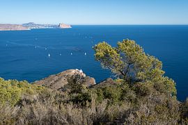Küstenlandschaft im Naturpark Sierra Helada von Adriana Mueller