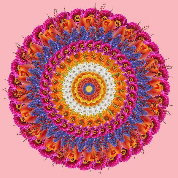 Mandala pink by Klaartje Majoor
