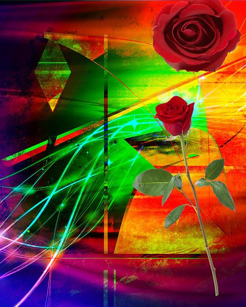 Eine Rose für die Liebe by Gertrud Scheffler