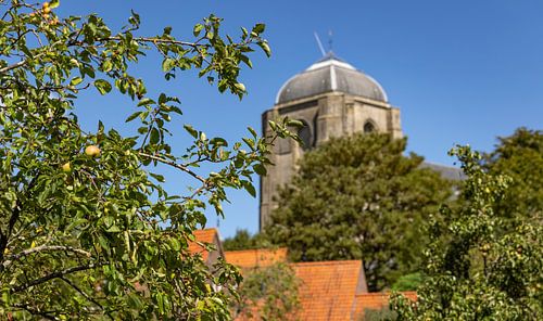 Bomen met de Grote Kerk Veere