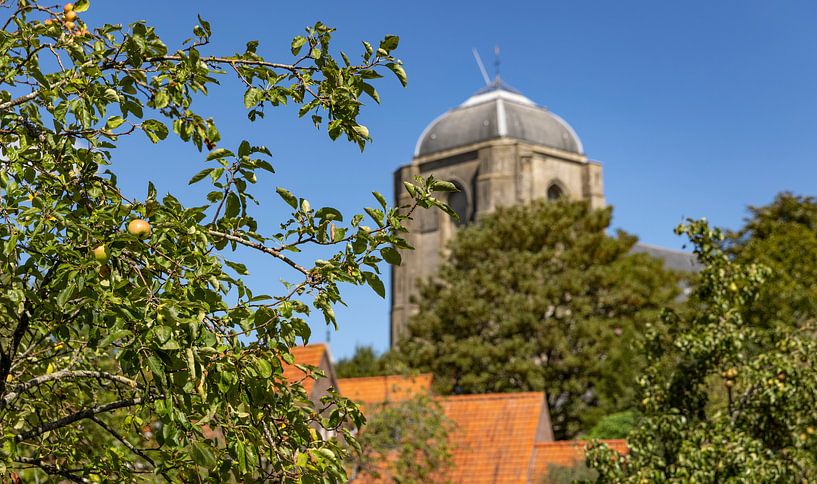 Trees with the Grote Kerk Veere by Percy's fotografie