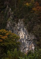 Rock Wall in the Belgian Ardennes: A Powerful Interplay of Nature and Texture