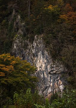 Rotswand in de Belgische Ardennen: Een Krachtig Samenspel van Natuur en Textuur van Hevonax Photography