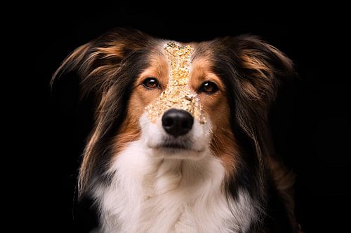 Goldmädchen