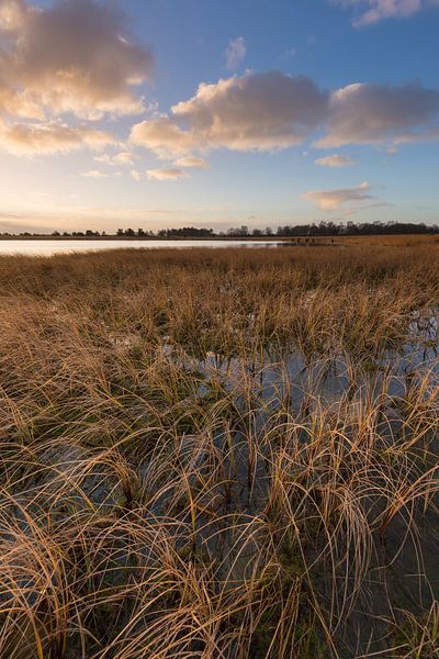 Braakhuizense Heide 15 par Deshamer