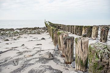 Verweerde strandpalen bij Westkapelle Zeeland van Ron van der Stappen