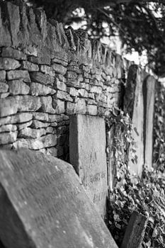 Written in Ivy
