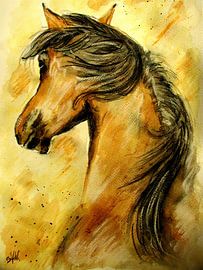 Horse Aquarell von Sandra Vollmann