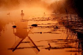 Good Morning van Koen Smit