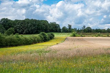 Colorful nature fields on a hill at the Flemish countryside arou van Werner Lerooy