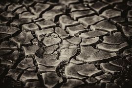 Dried-out sludge / soil  by Berend Drent