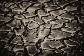 Ausgetrockneter Schlamm / Boden 