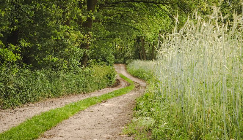 Genieten in het groen van Nienke te Vruchte