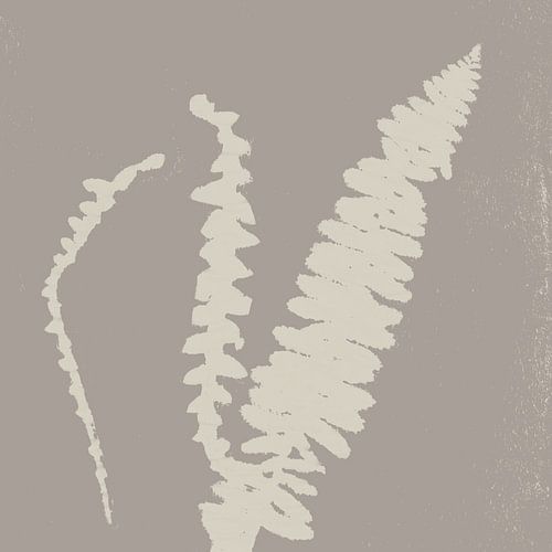 Abstract botanisch. Varens wit en taupe.