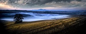 Toscaans landschap......... sur Wim Schuurmans