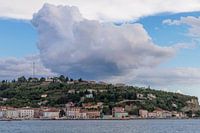 Piran, Slovenië