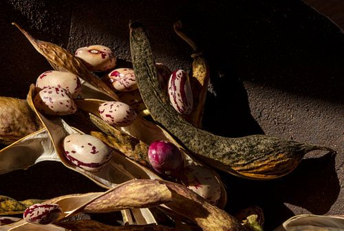 Modern still life in earthy tones