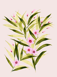 Laurier-rose gracieux - Parchemin rosé sur Piret Victoria Studio