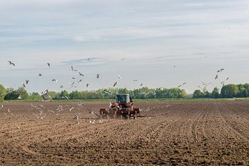 Rode tractor ploegend op het bouwland