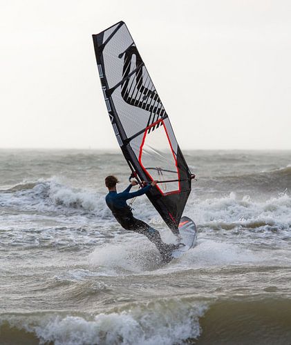 Windsurfer Zeeland