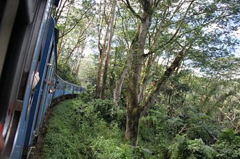 train in Sri Lanka