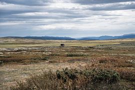 Secluded mountain hut in the tundra of Rondane, Norway by Dylan Winter Visuals