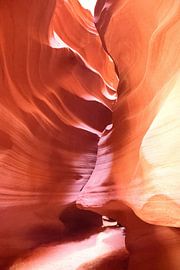 The final stretch by Frank's Awesome Travels