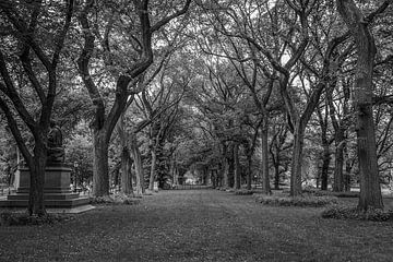 Central Park, New York van Vincent de Moor