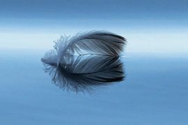 "Sereniteit in Blauw: De Gewichtloze Reflectie" sur Esther van der Weijden