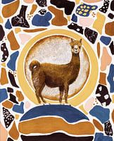 Alpaca in terrazzo