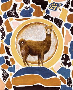 Alpaca in Terrazzo