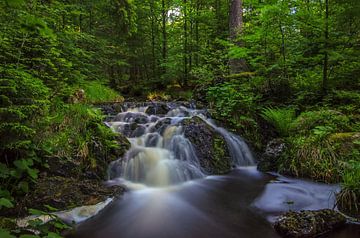 Wasserfall im Frühling von Steffen Gierok