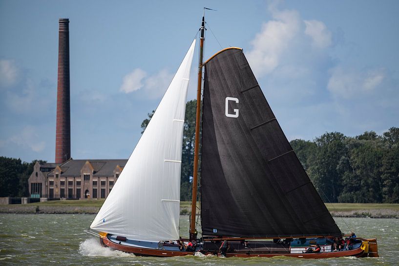 Skûtsje Grou klassieke Fries zeilende Tjalk tijdens het Skutsjesilen van Sjoerd van der Wal Fotografie