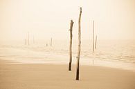 Strandpalen in de mist van robert wierenga thumbnail