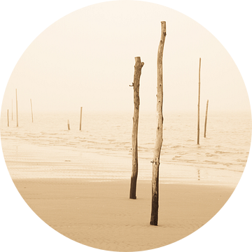 Strandpalen in de mist van robert wierenga