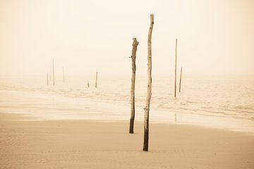 Beach poles in the fog by robert wierenga
