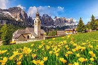 Flower meadow with church in the mountains by Voss Fine Art Fotografie thumbnail