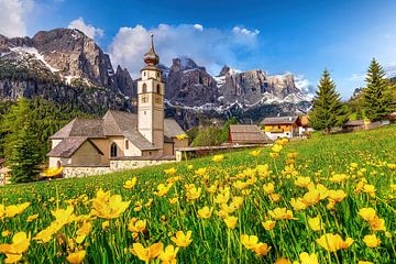 Prairie fleurie avec église dans les montagnes