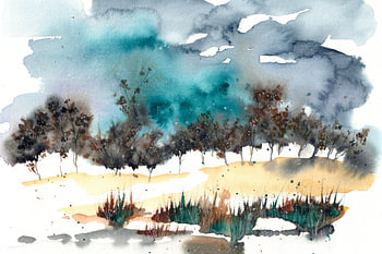 lisière de forêt