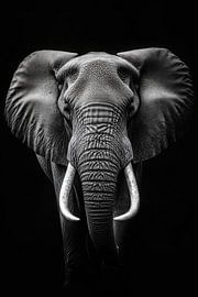 Olifant van Poster Art Shop