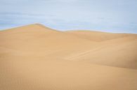 Sand dunes in Gran Canaria by Tim Rensing thumbnail