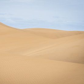 Dunes de sable à Gran Canaria sur Tim Rensing
