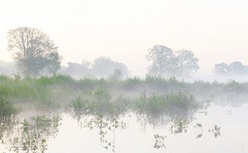 Zonsopkomst Dwingelderveld (Netherlands) van Marcel Kerdijk