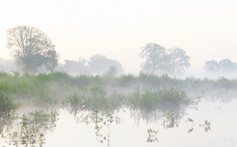 Sunrise Dwingelderveld (Netherlands) by Marcel Kerdijk